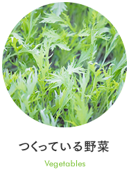 つくっている野菜