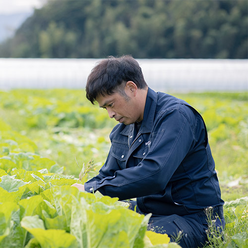 福岡県糸島のうらた農園の写真