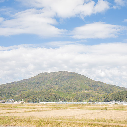 福岡県糸島のうらた農園の写真